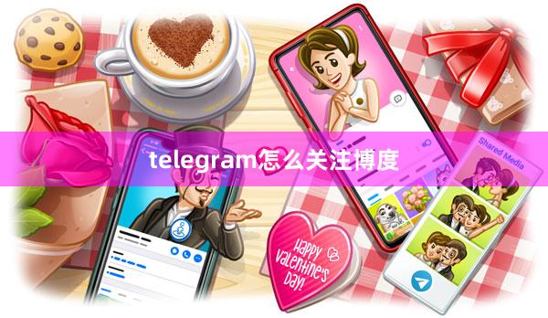 telegram怎么关注博度